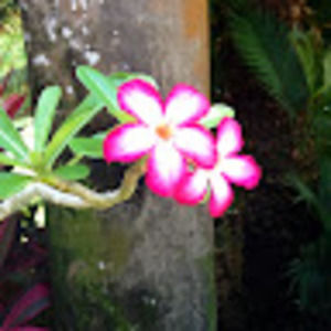 Meet your Posher, Angélica